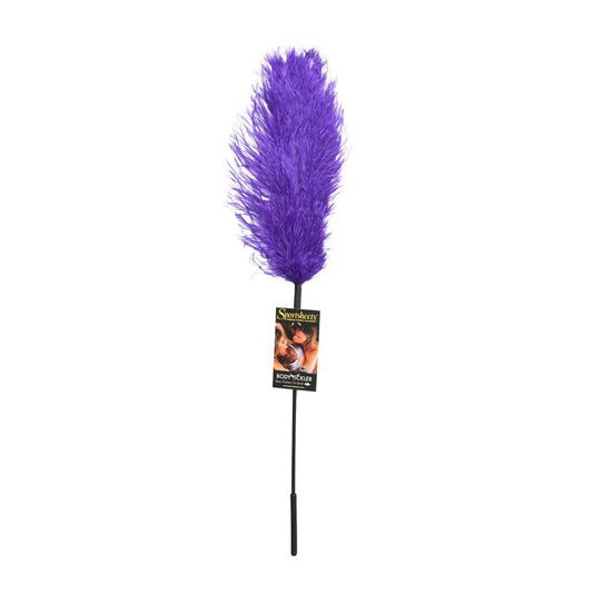 Ostrich feather purple